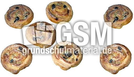 R-schnecken5+2.jpg